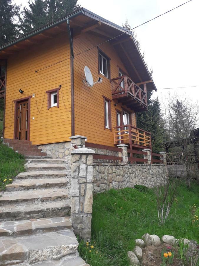 Смериковий Jaremtsche Exterior foto