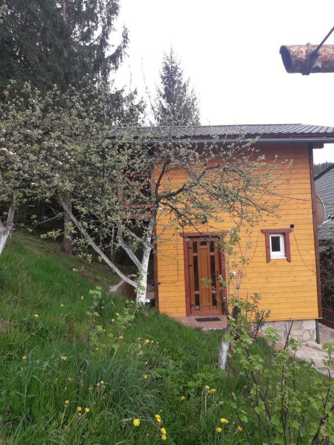 Смериковий Jaremtsche Exterior foto
